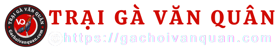 CLB Gà Chọi Văn Quân – Live 1