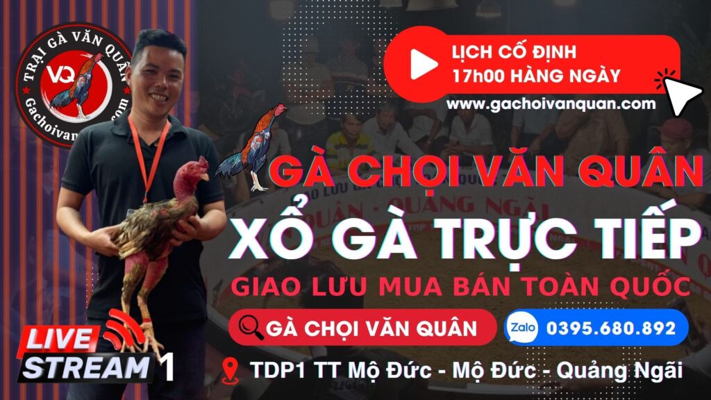 Video 31/7
